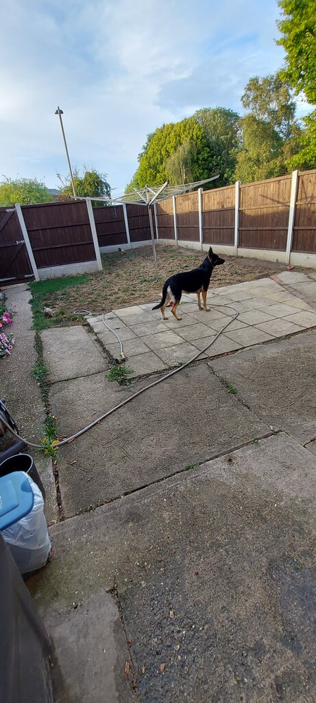 Photo 1 of Southend On Sea property