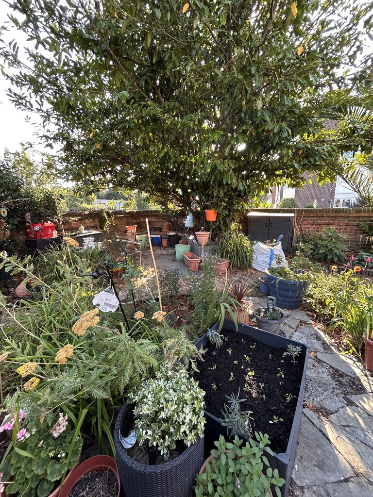 Photo 2 of Southsea property