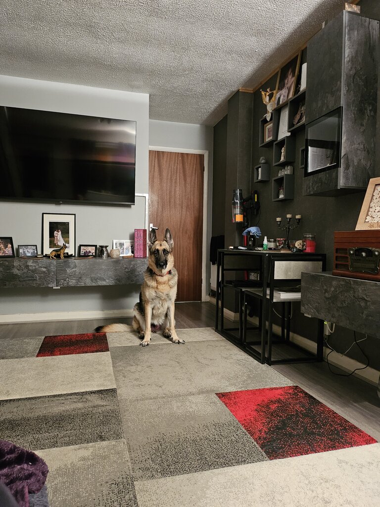 Photo 3 of Rushden property