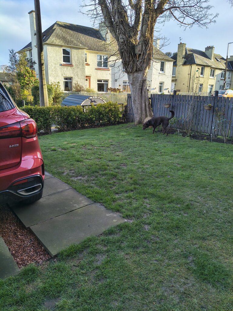 Photo 3 of Edinburgh property