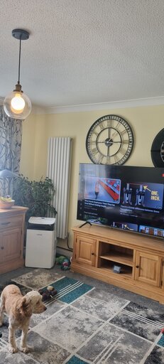 1 bed ground floor apartment/flat