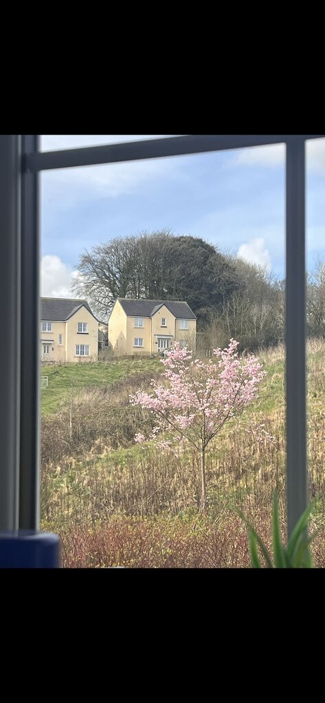 Photo 2 of South Molton property