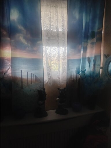 1 bed bungalow