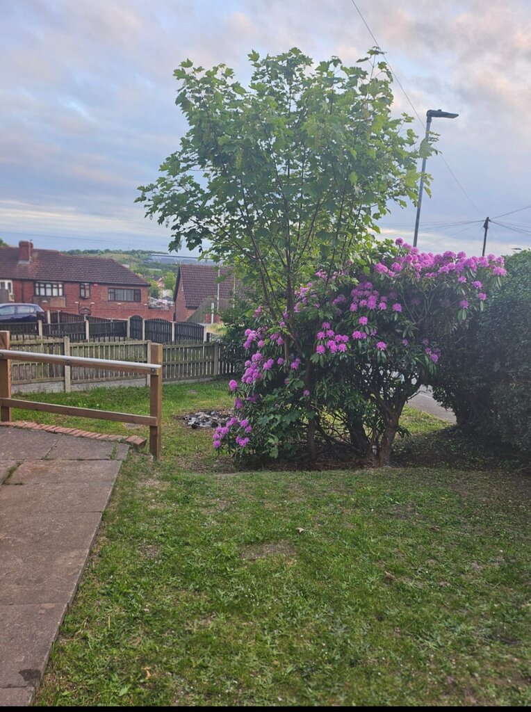 Photo 5 of Castleford property