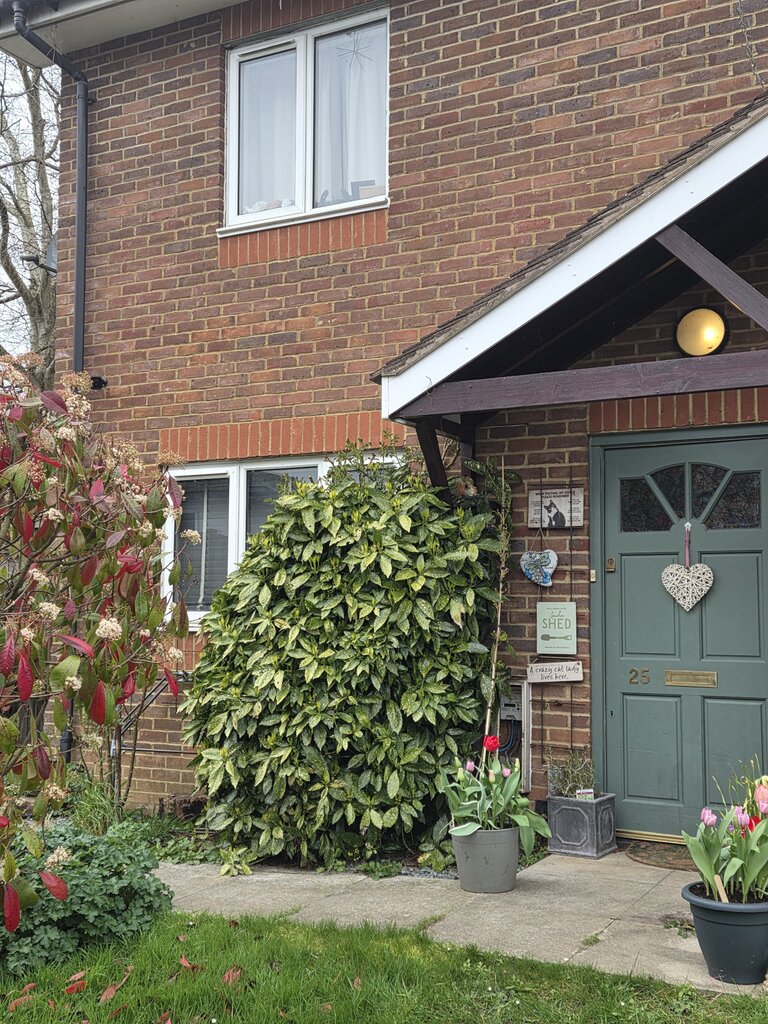 Photo 1 of Guildford property