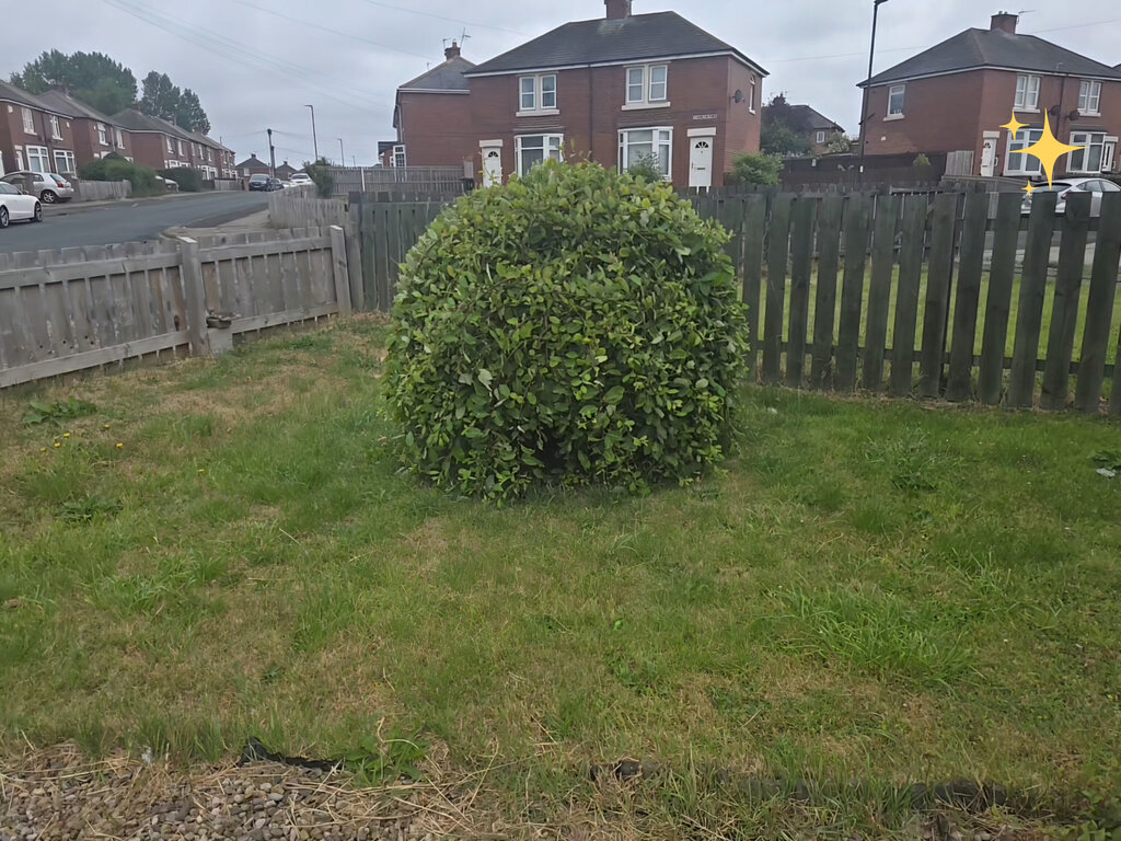 Photo 2 of High Farm,Wallsend property