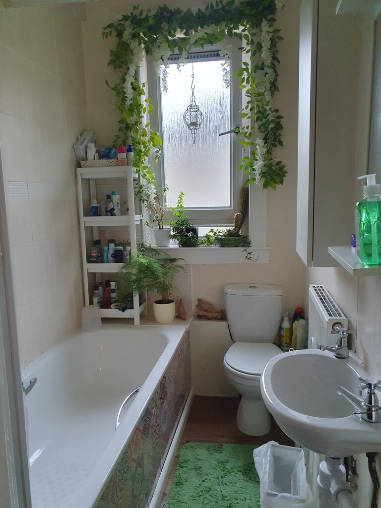Photo 4 of Edinburgh property