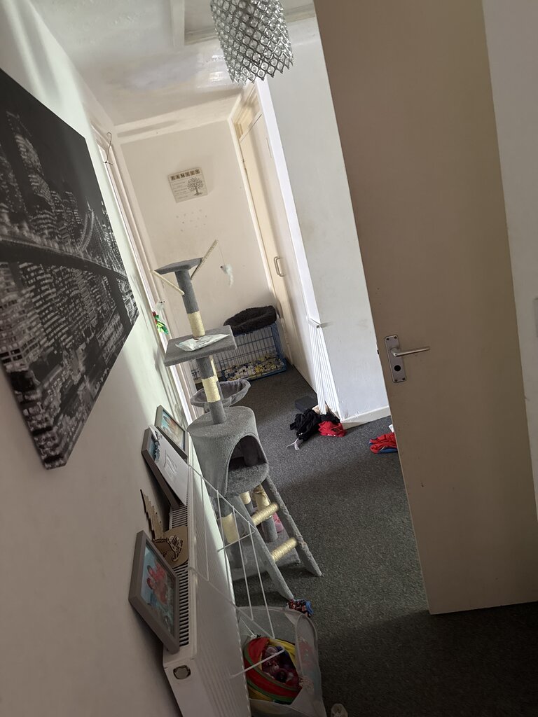Photo 3 of Thetford property