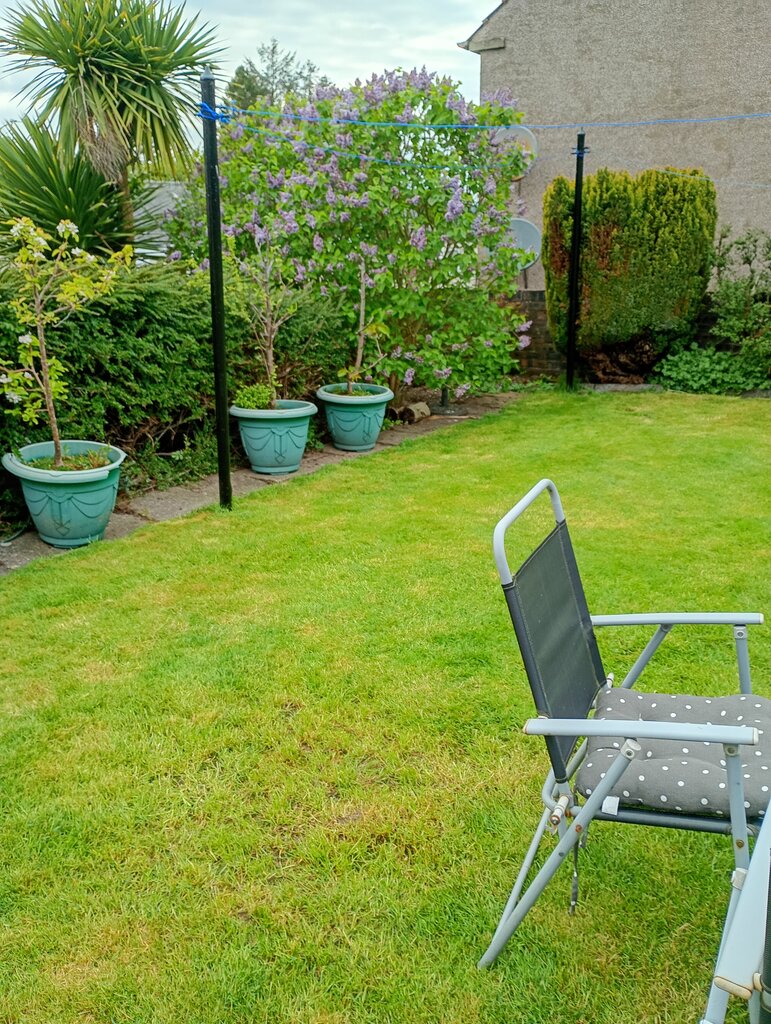 Photo 5 of Abernethy property