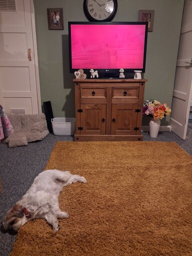 1 bed bungalow