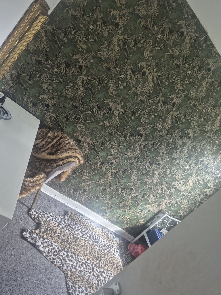 Photo 2 of Paisley property