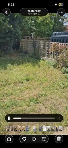 1 bed bungalow