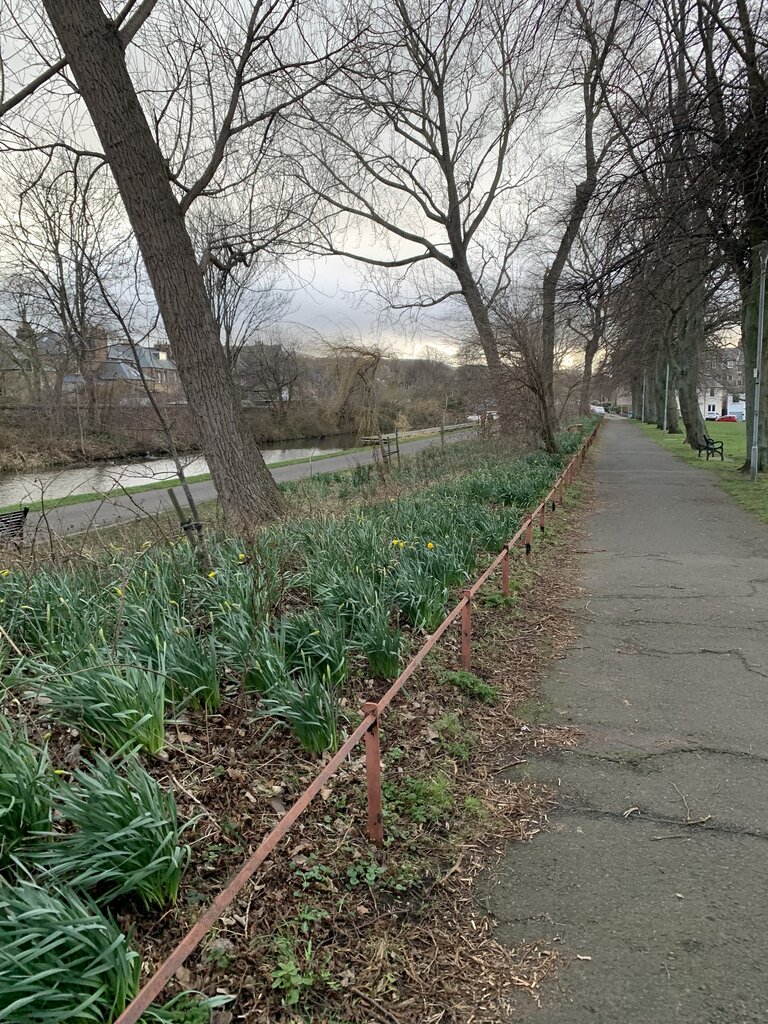 Photo 3 of Edinburgh property