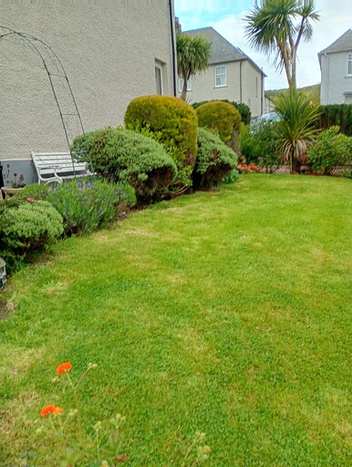 3 bed house
