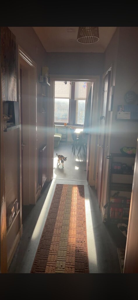 Photo 4 of Glasgow property