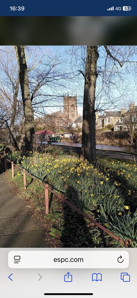 Photo 2 of Edinburgh property