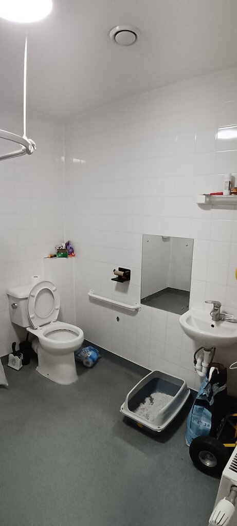 Photo 5 of Purley property