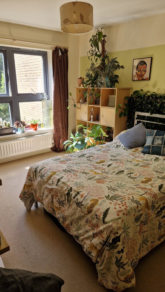 Photo 3 of Norwich property