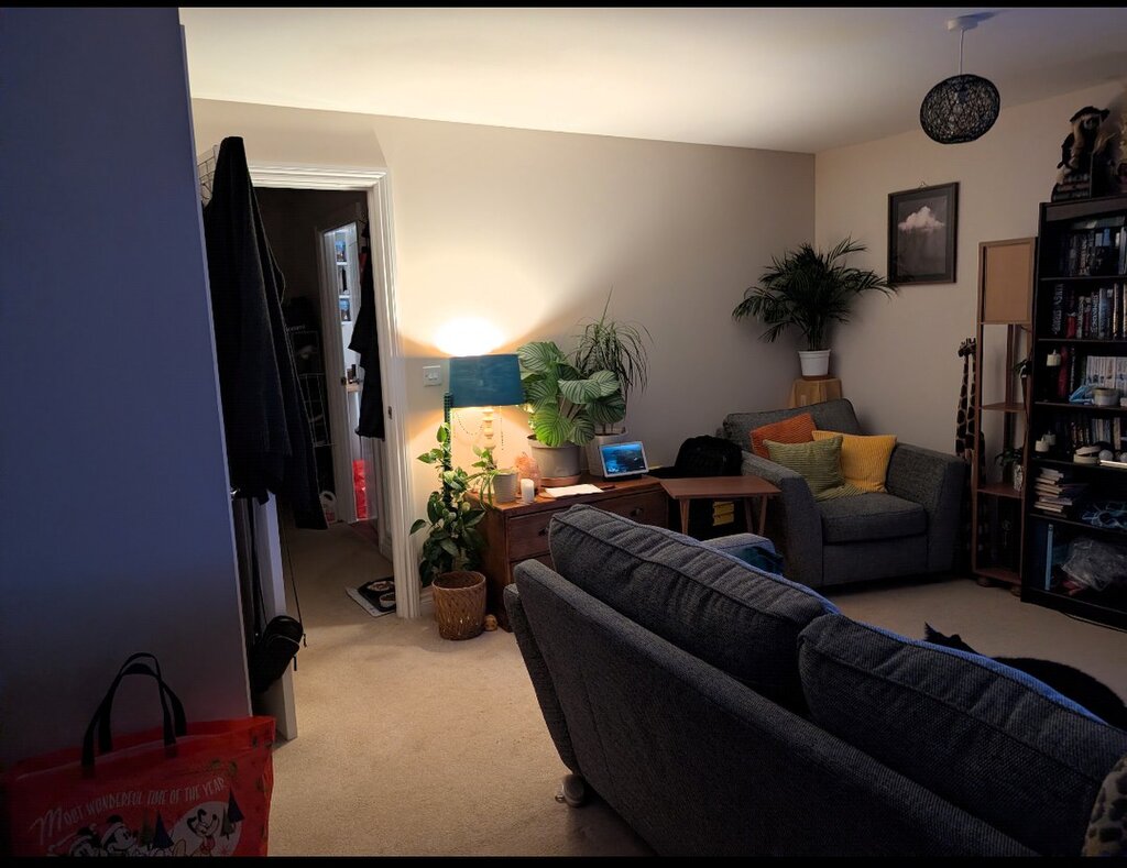 Photo 5 of Marlborough property