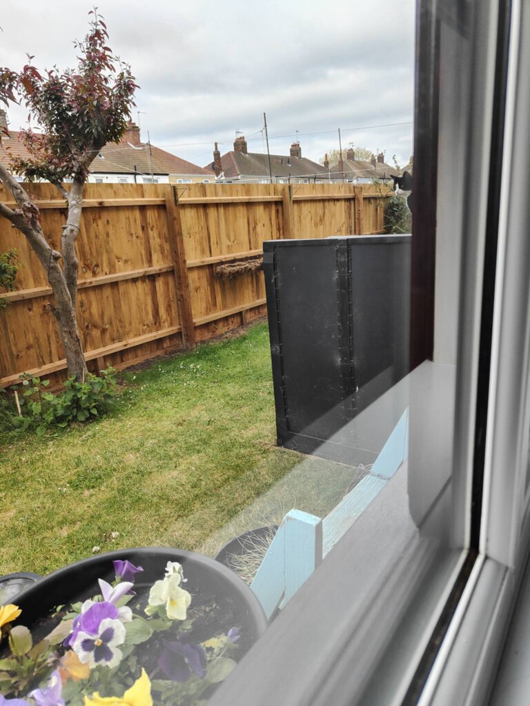 Photo 5 of Lowestoft property