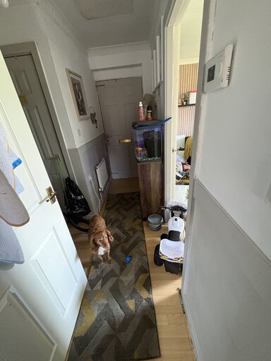 2 bed floor 2 apartment/flat