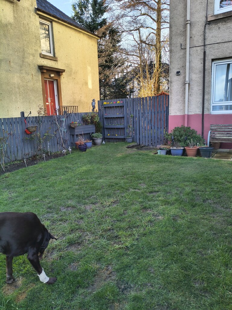 Photo 2 of Edinburgh property