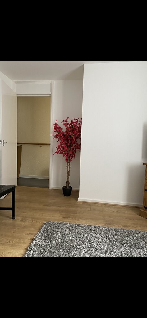 Photo 1 of Bromley property