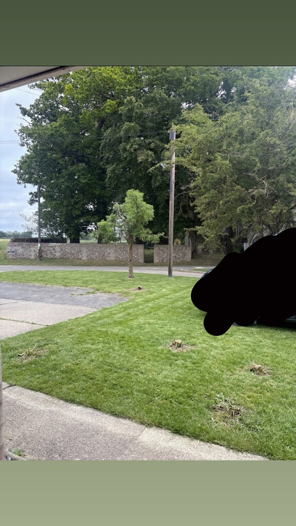 Photo 4 of Welborne property