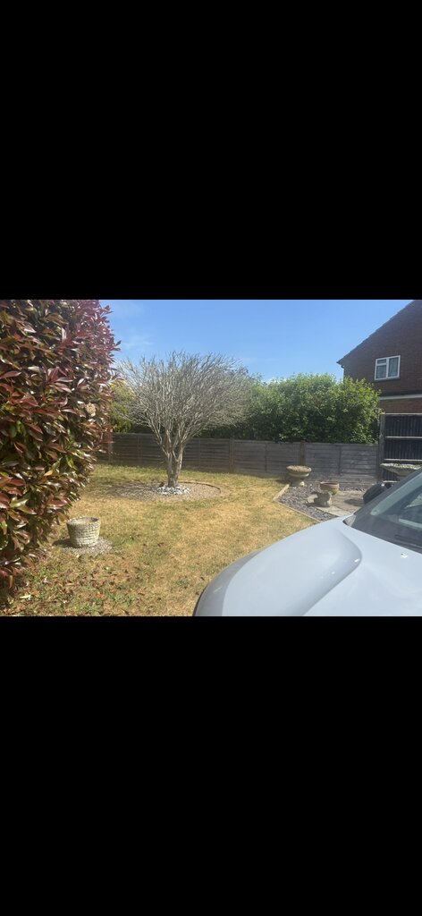 Photo 4 of Tewin property