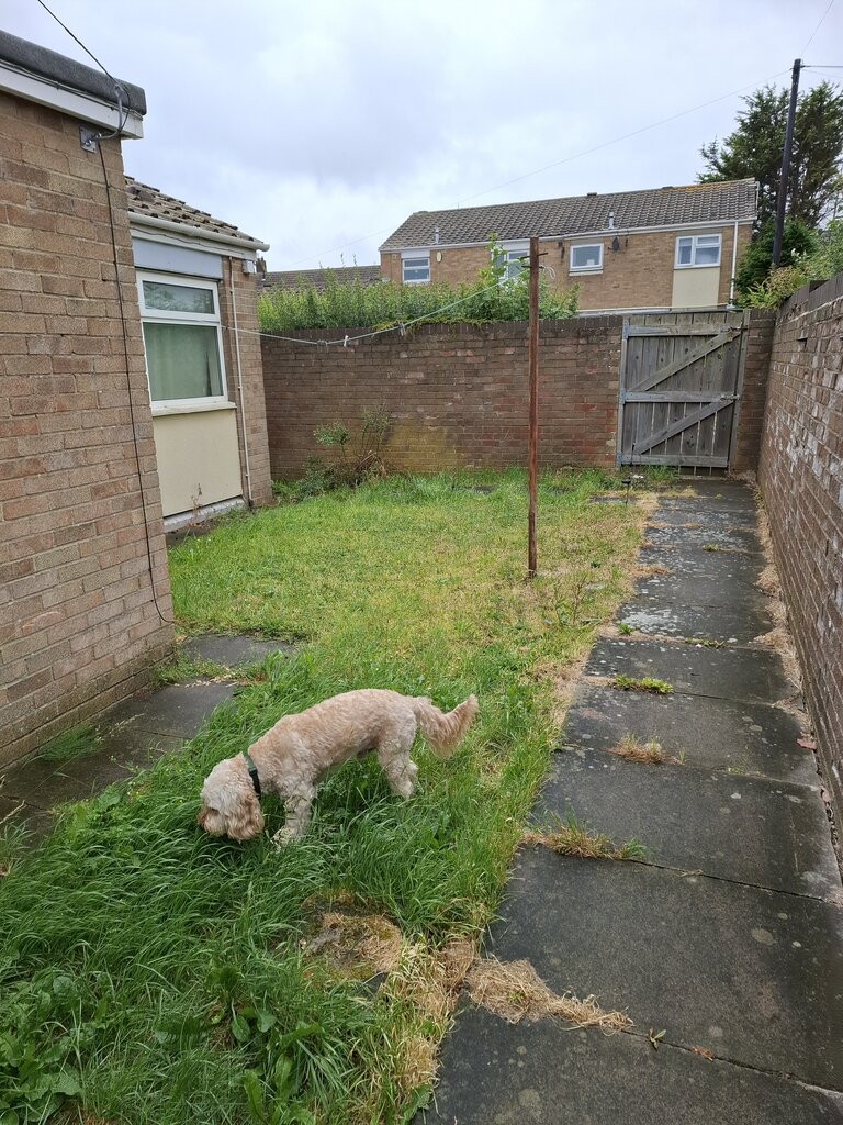 Photo 5 of Hartlepool property