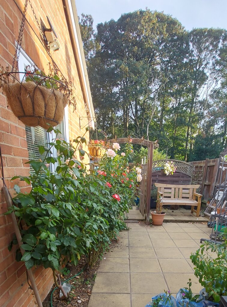 Photo 2 of Bury St. Edmunds property