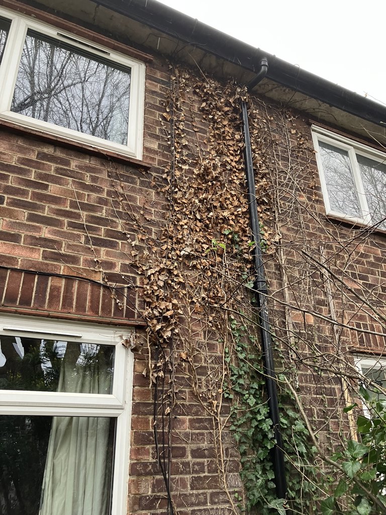 Photo 2 of Norwich property