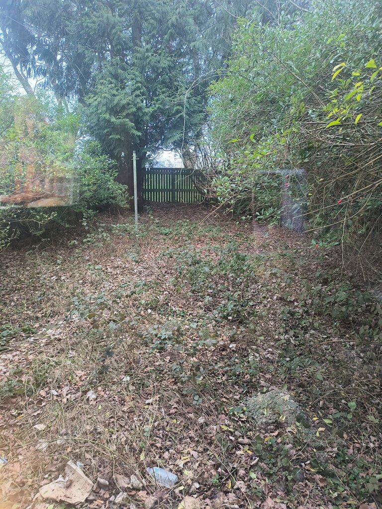 Photo 5 of Birmingham property