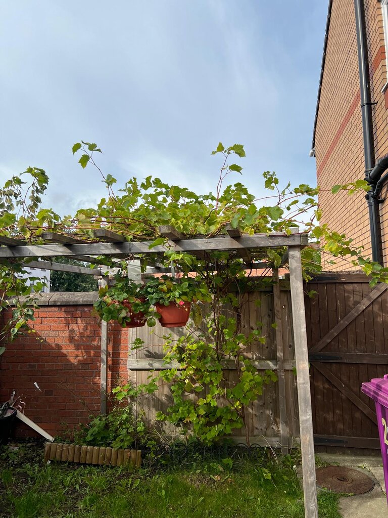 Photo 4 of Liverpool property