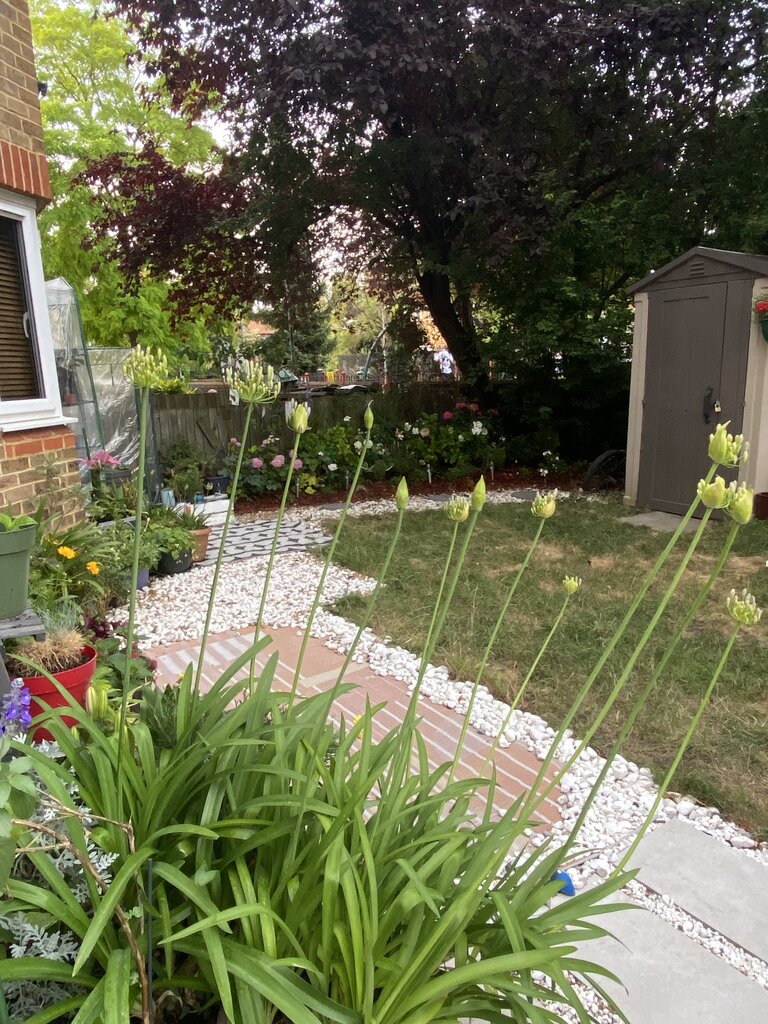 Photo 4 of London property
