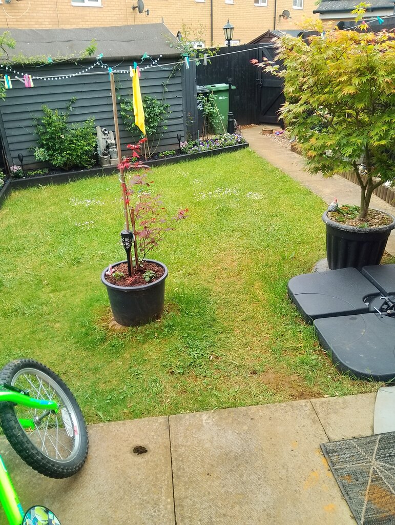 Photo 2 of Corby property