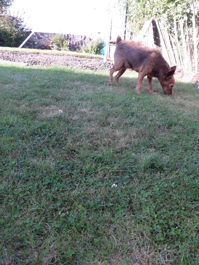 Photo 2 of Danderhall property