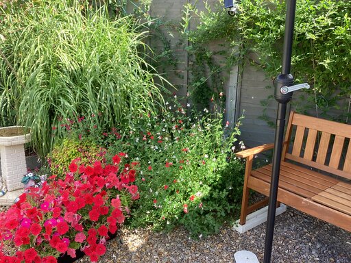 1 bed bungalow