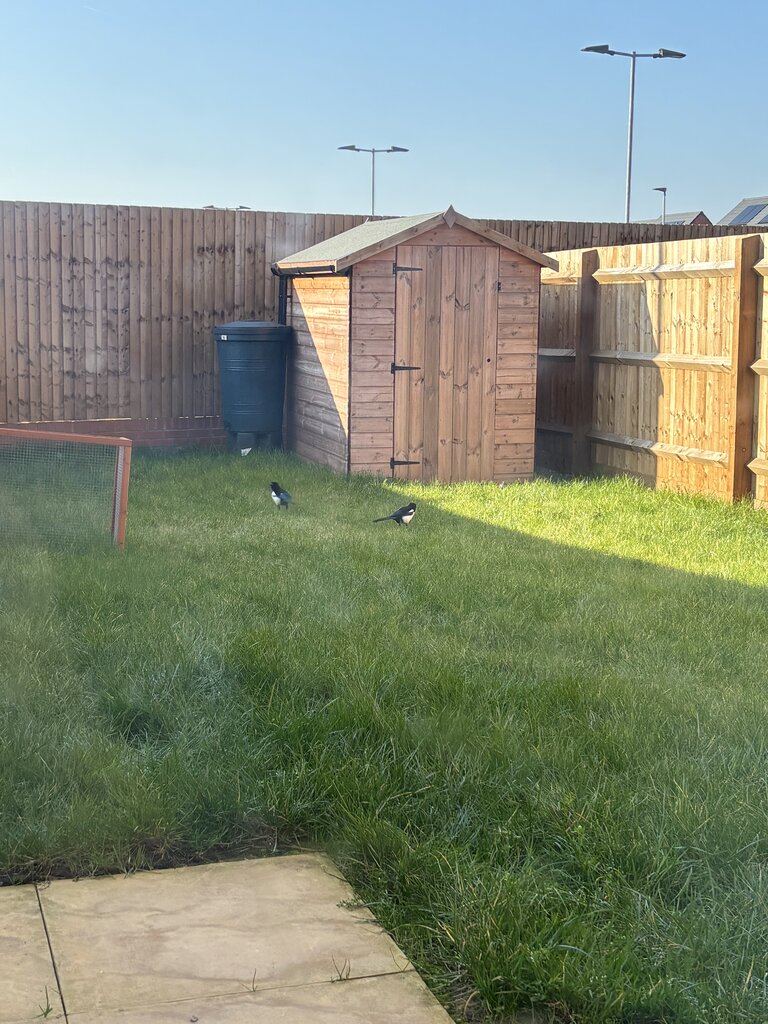 Photo 3 of Derby property