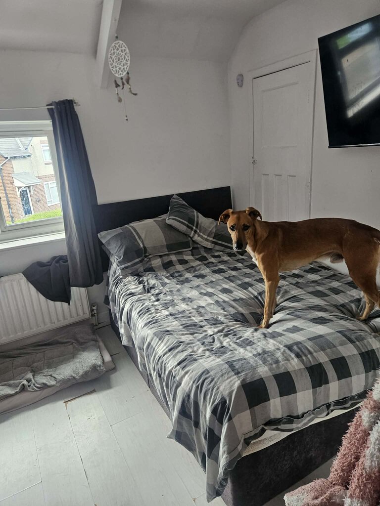 Photo 5 of North Shields property