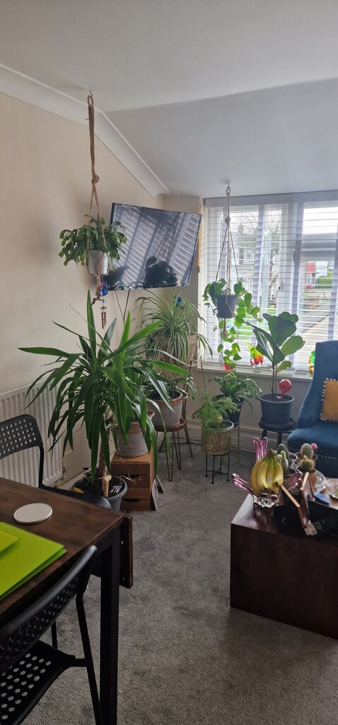 Photo 2 of Basildon property