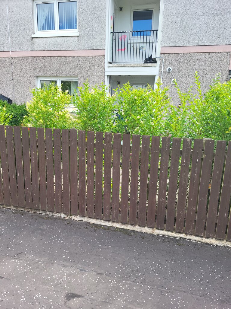 Photo 4 of Glasgow property