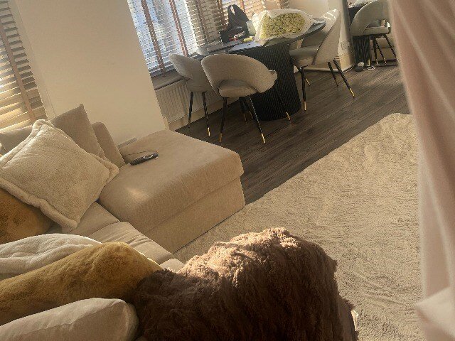Photo 3 of London property