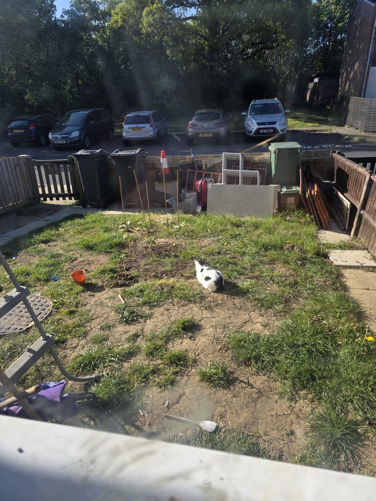 Photo 2 of Braintree property
