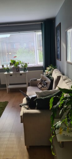 1 bed ground floor apartment/flat