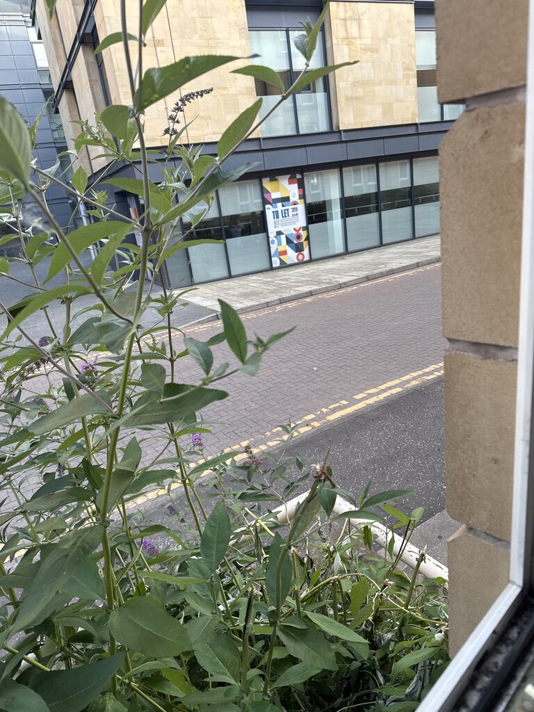 Photo 4 of Edinburgh property