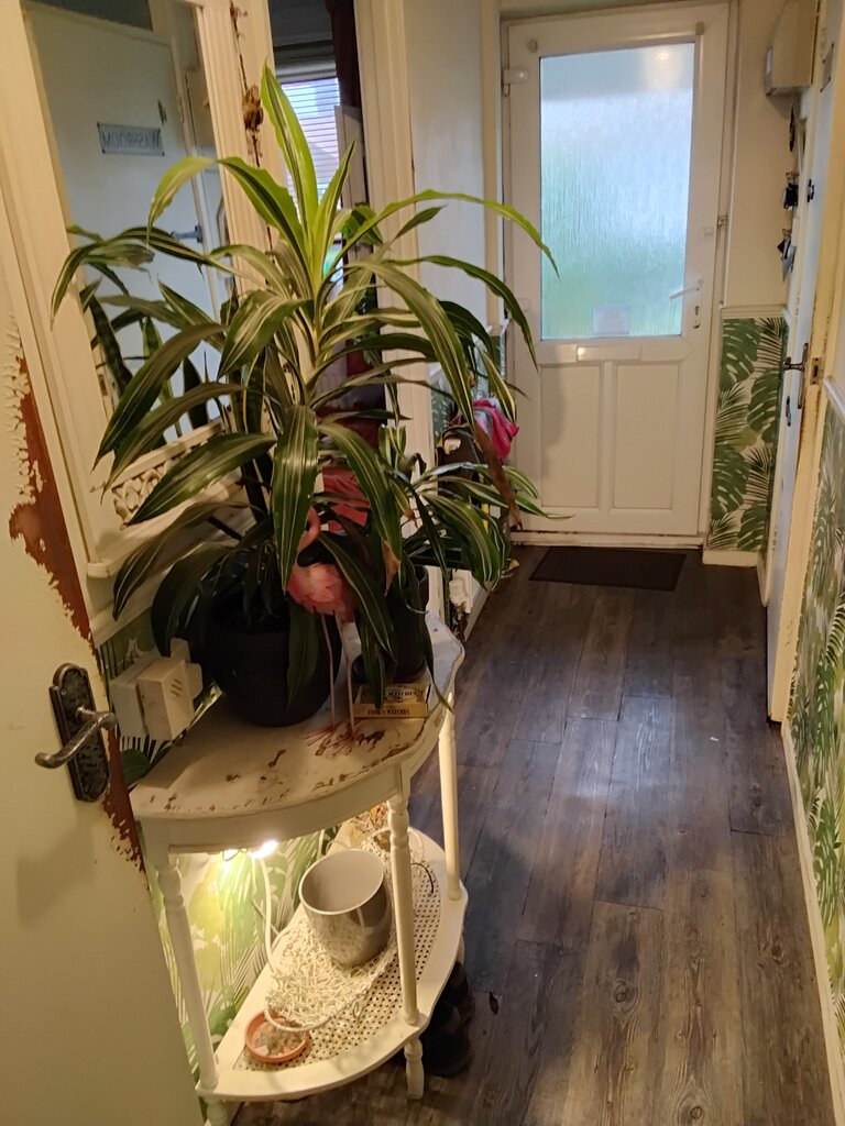 Photo 1 of Corton , Lowestoft property