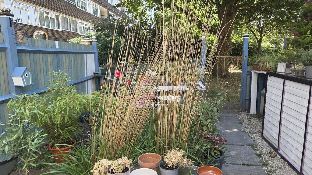 Photo 5 of London property