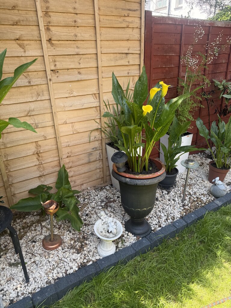 Photo 4 of Willesden Green property